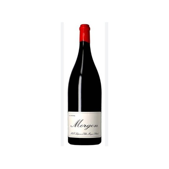 Morgon 2025 Magnum - Marcel Lapierre