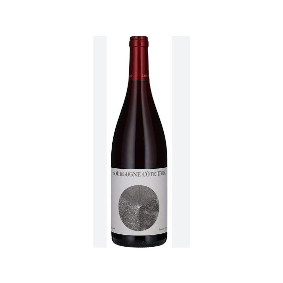 Bourgogne Cote d'Or 2022 Rouge Louis Jadot