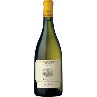 Cervaro "Castello della Sala" 2023 Antinori