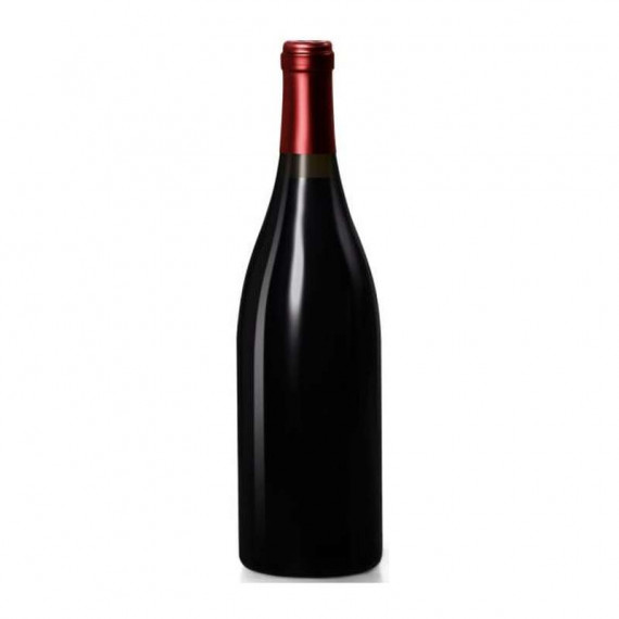Bourgogne Pinot Noir - Domaine Aegerter