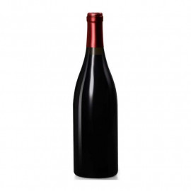 Bourgogne Pinot Noir - Domaine Aegerter