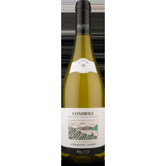 Condrieu "Versant Doré" 2023 - Domaine Brotte