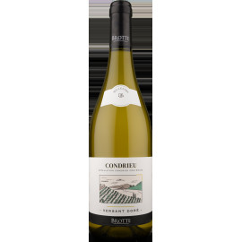 Condrieu "Versant Doré" 2023 - Domaine Brotte