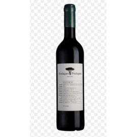 Equinox rouge-FonduguesPradugues