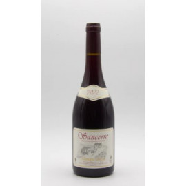Sancerre Rouge 2022- Domaine Tassin