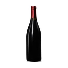 Puligny-Montrachet 1er Cru "Les Champ-Gains" 2023 - Domaine Borgeot