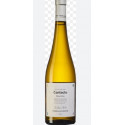 Contacto Alvarinho 2024 - Portugal